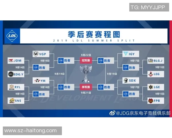 电竞比分陈军深度解析英雄联盟战术与技巧分享实时新闻